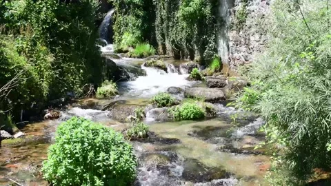 Mountain stream Stock Footage 163122200