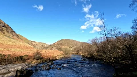 Mountain Stream 動画素材 171421342