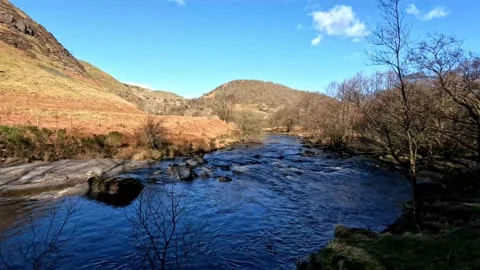 Mountain Stream 動画素材 171421346