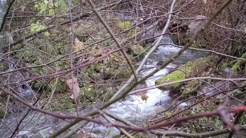 Mountain stream Stock Footage 172563505