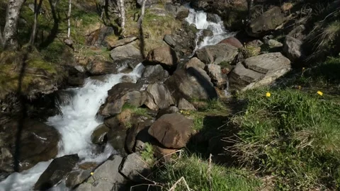 Mountain stream Stock Footage 198378856