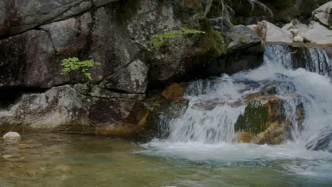 Mountain Stream Stock Footage 201070781