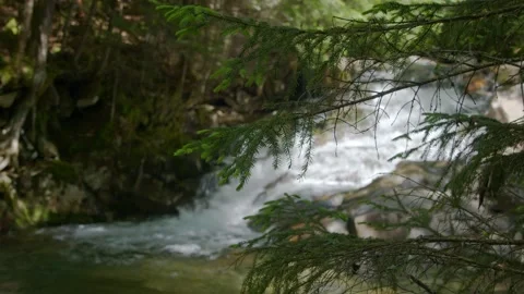 Mountain Stream Stock Footage 201071163