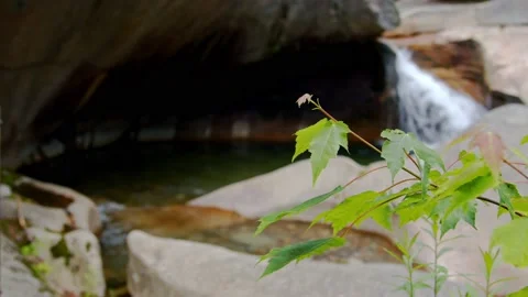 Mountain Stream Stock Footage 201071226