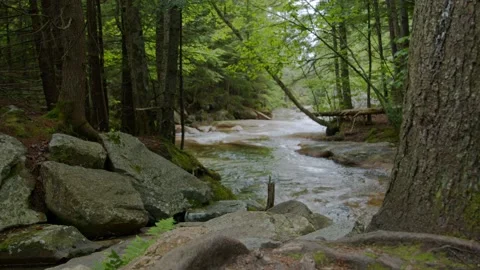 Mountain Stream Stock Footage 201071467