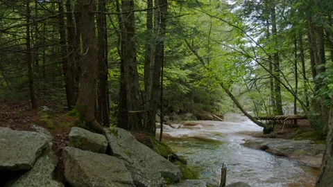 Mountain Stream Stock Footage 201071509