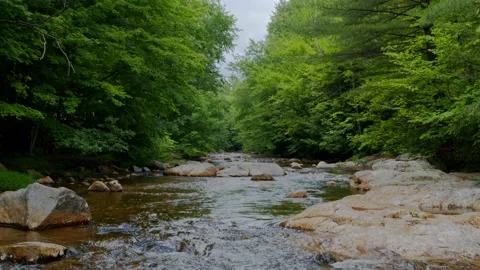 Mountain Stream Stock Footage 201073004