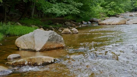 Mountain Stream Stock Footage 201073433