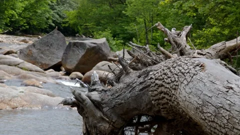 Mountain Stream Stock Footage 201073574