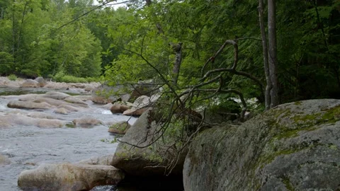 Mountain Stream Stock Footage 201073855
