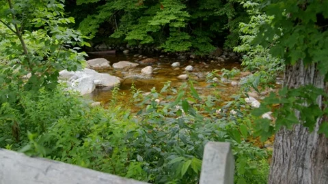 Mountain Stream Stock Footage 201073914