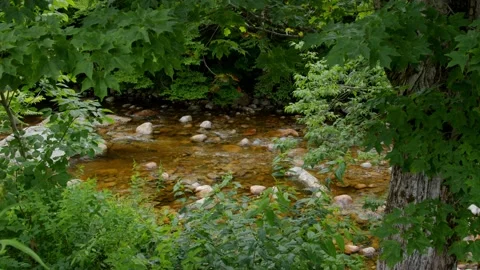 Mountain Stream Stock Footage 201073924