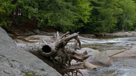 Mountain Stream Stock Footage 201074007