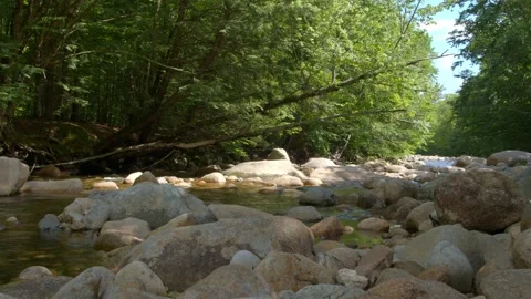 Mountain Stream Stock Footage 201074978