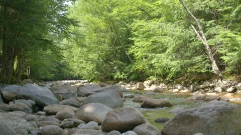 Mountain Stream Stock Footage 201075026