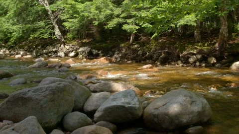 Mountain Stream Stock Footage 201075559