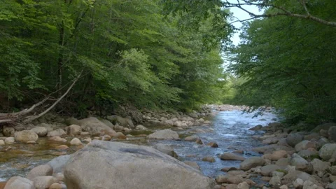 Mountain Stream Stock Footage 201075903