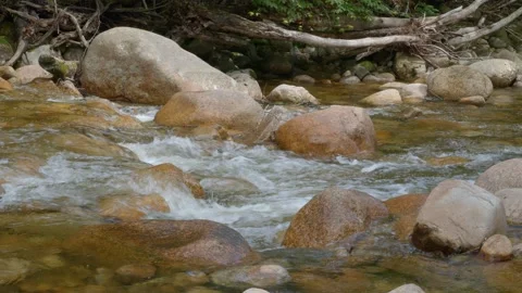 Mountain Stream Stock Footage 201075909