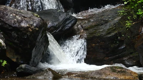 Mountain Stream Stock Footage 243780449