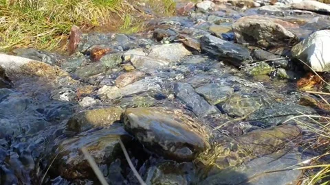 Mountain Stream Stock Footage 244329904