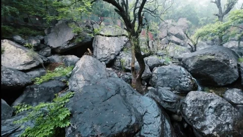 Mountain stream Stock-Footage 244574609