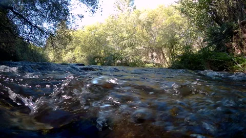 Mountain stream Vidéo 248867331