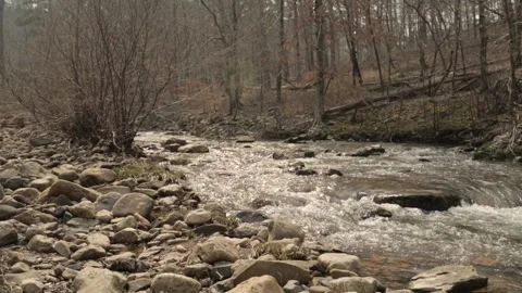 Mountain stream Stock Footage 249221187
