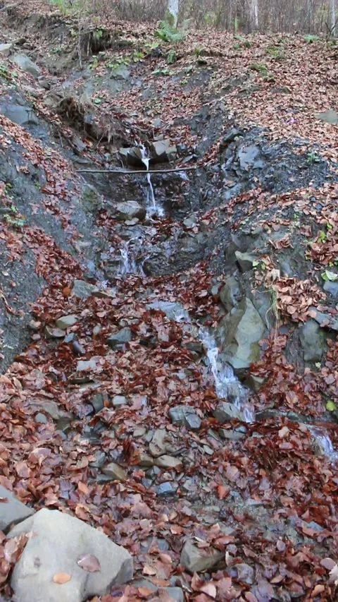 Mountain stream Stock Footage 254003868