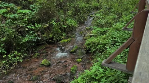 Mountain stream Stock Footage 283479255