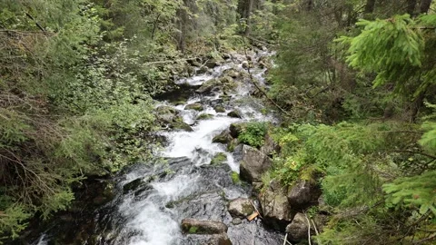 Mountain stream 스톡 동영상 287727532