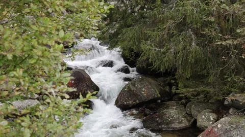 Mountain stream 스톡 동영상 287727557