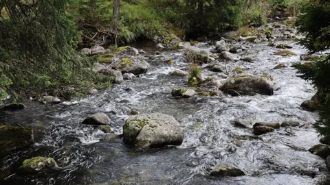 Mountain stream 스톡 동영상 287727563