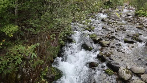 Mountain stream 스톡 동영상 287727567