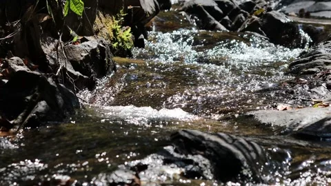 Mountain stream Stock Footage 302806313