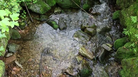 Mountain stream 스톡 동영상 320827486