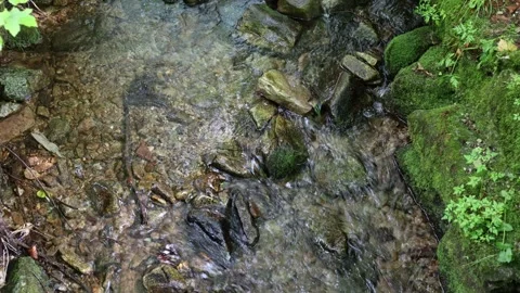 Mountain stream 스톡 동영상 320827487