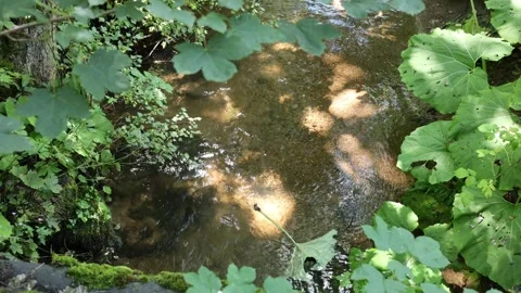 Mountain stream 스톡 동영상 320827489