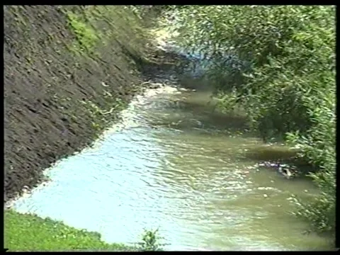 Mountain Stream Stock Footage 342687970