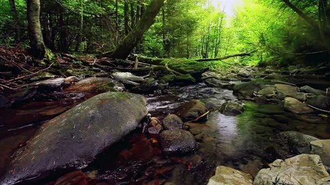 Mountain stream in the forest 4K Video stock 233968684
