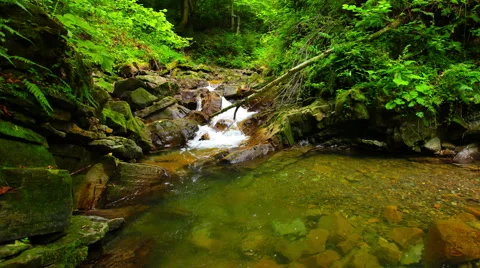 Mountain stream in the forest. 4K. FULL HD, 4096x2304. Stock Footage 41577726