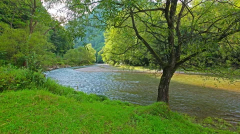 Mountain stream in the forest. 4K. FULL HD, 4096x2304. Stock Footage 42735662