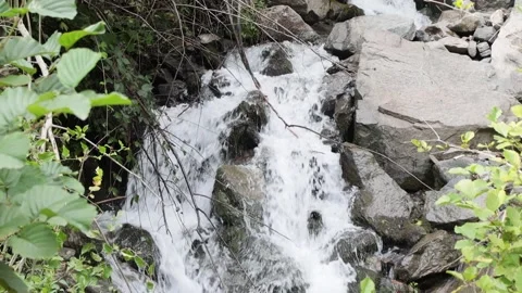 Mountain stream in the forest among rocks, trees, green vegetation. Slow motion. Stock Footage 221300157