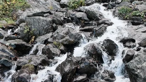 Mountain stream in the forest among rocks, trees, green vegetation. Slow motion. Stock Footage 221302715