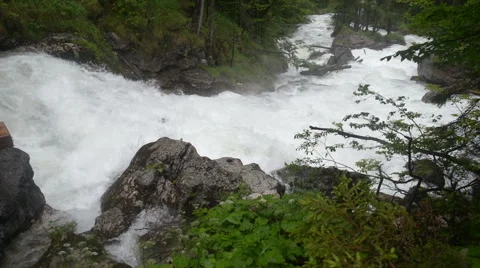 Mountain stream in the forest. Austria, Obertraun Stock Footage 52009332