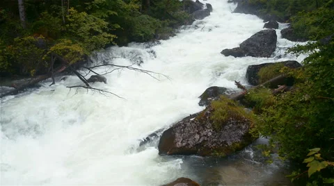 Mountain stream in the forest. Austria, Obertraun Stock Footage 52009369