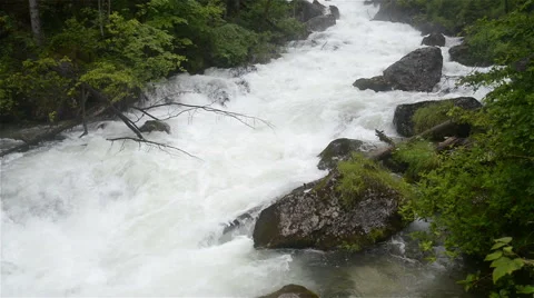 Mountain stream in the forest. Austria, Obertraun Stock Footage 52009377