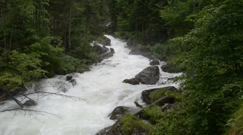Mountain stream in the forest. Austria, Obertraun Stock Footage 52009431