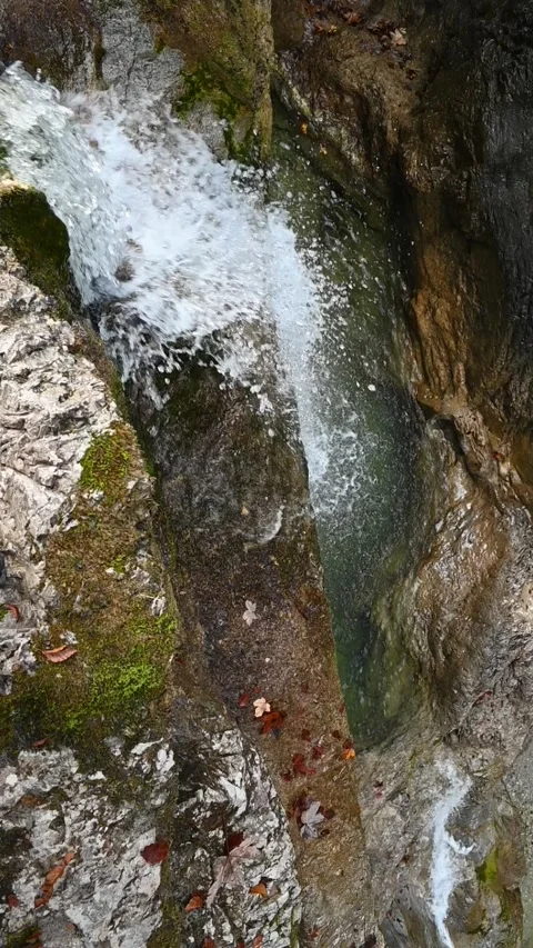 A mountain stream in a forest in autumn, slow motion, vertical shot Stock-Footage 260930183