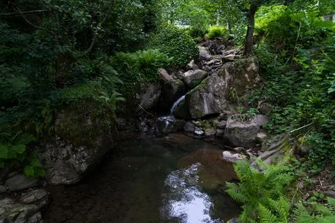 Mountain stream in the forest between large rocks. Georgia Stock Photos