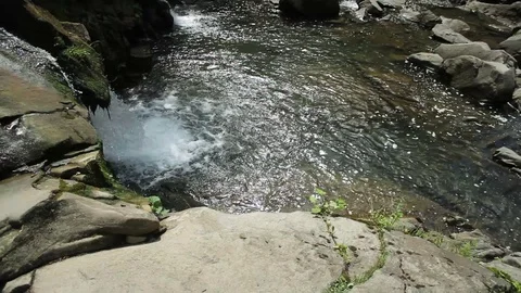 Mountain stream in the forest cascade fresh green landscape nature river water Stock Footage 99371232